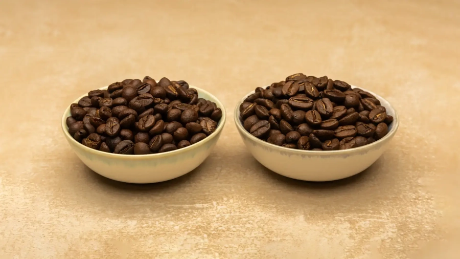 Ciotole con differenti tipologie di chicchi di caffè, arabica e robusta