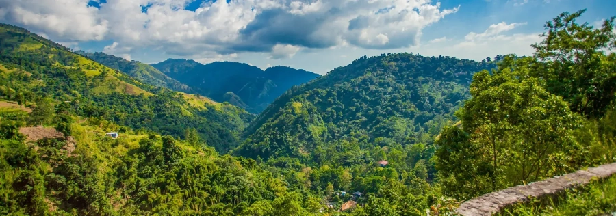 Foto panoramica delle montagne con piante di caffè